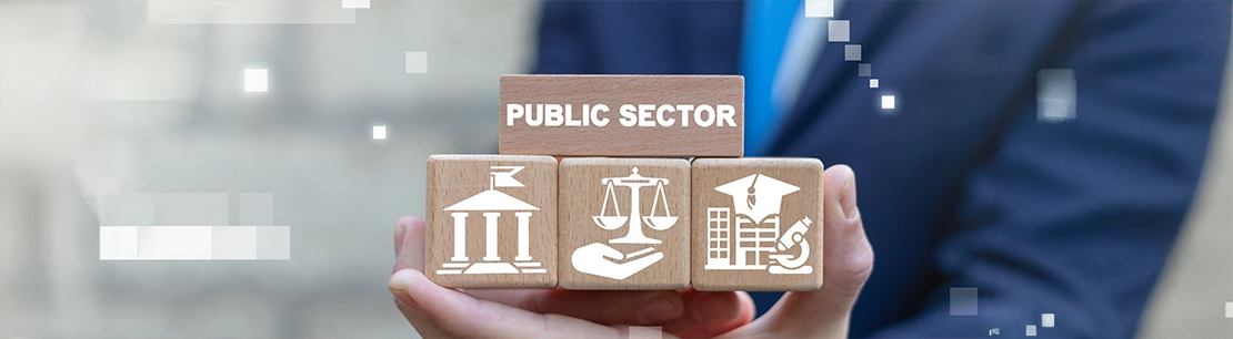 BDO Public Sector Nr. 1 | April 2025