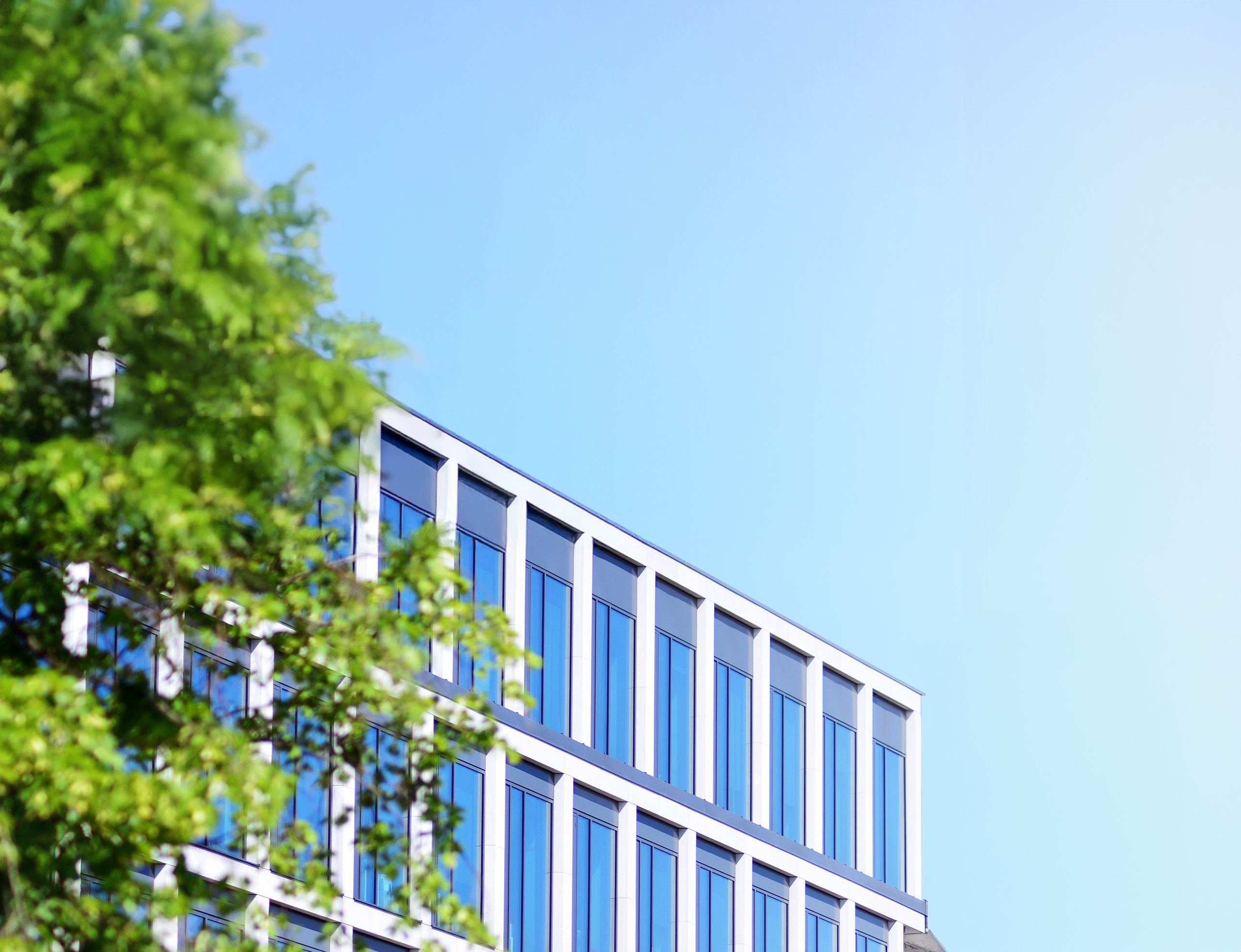 Gebäude, blauer Himmel und Baum