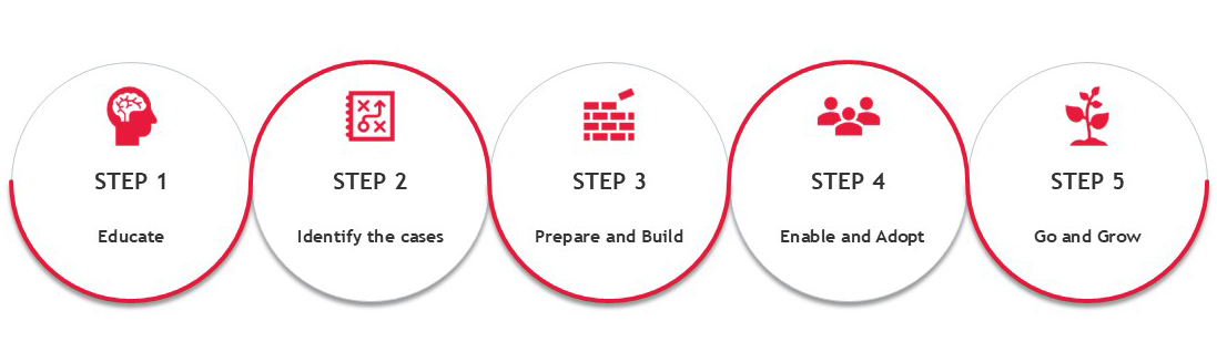 Adoption Framework