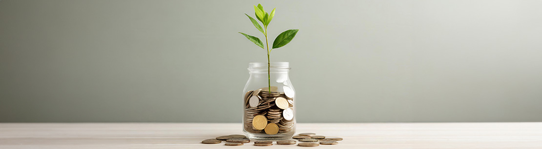 Reform of subsidized private pension provision