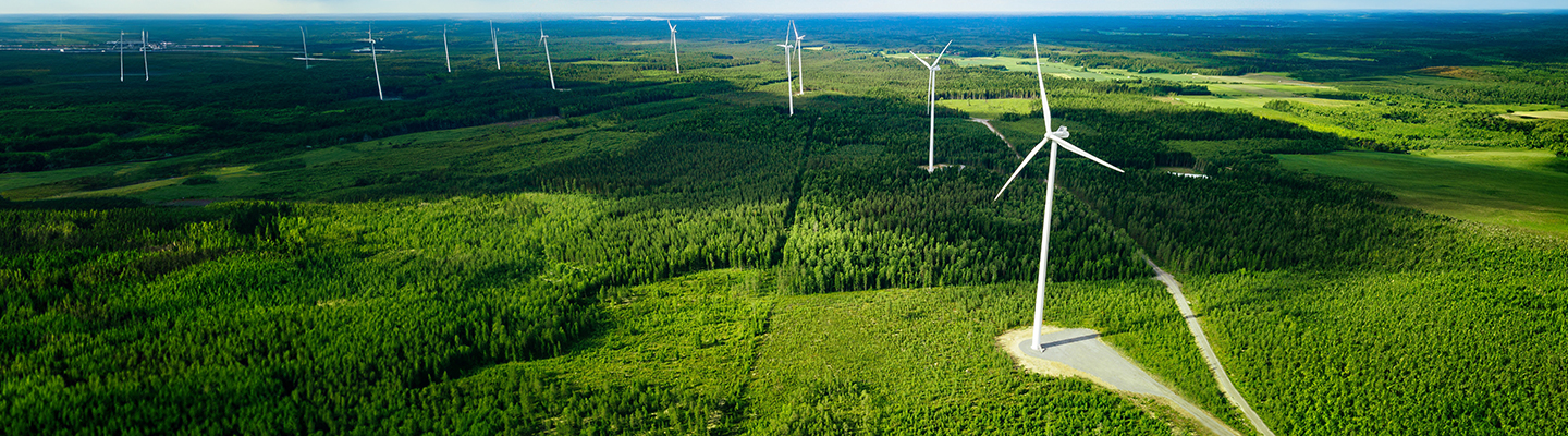  Windenergie - Sicherung der erhöhten Anfangsvergütung über das zehnte Betriebsjahr hinaus - Handlungsbedarf im Jahr 2024